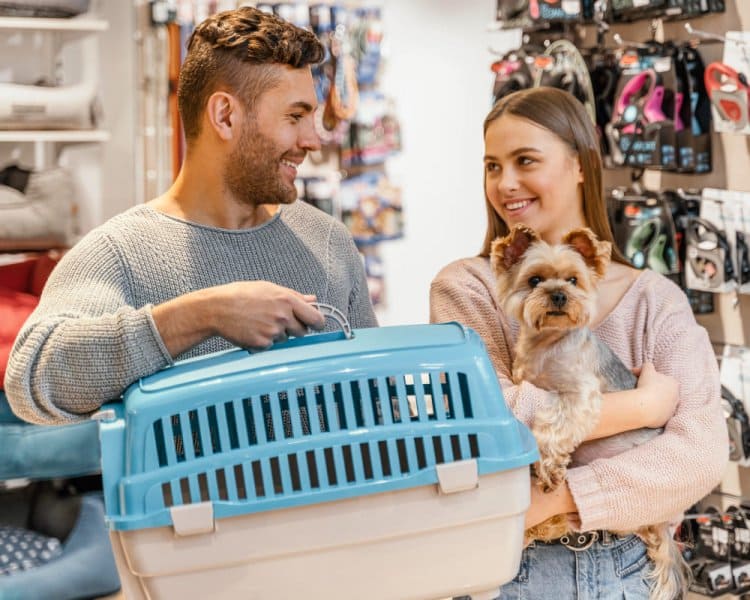 Pet Shop Ürünleri E-Ticaret Sitesi Nasıl Açılır?