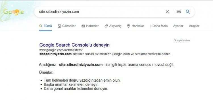 google site kontrol