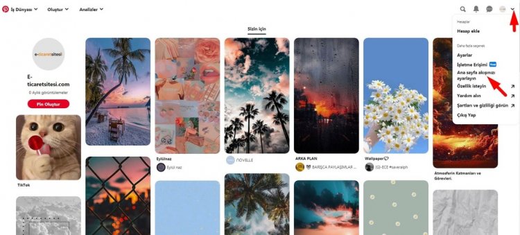 pinterest ana sayfa akışı ayarla