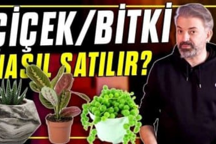 internetten-canli-cicek-nasil-satilir