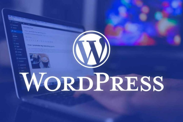 wordpress e ticaret sitesi